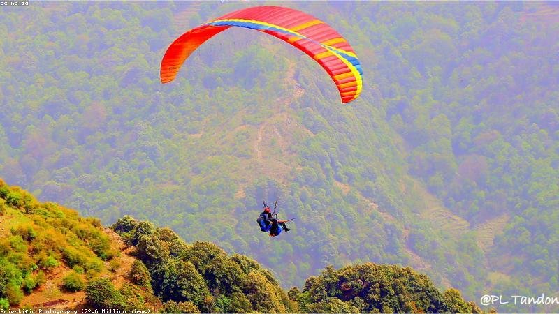 नगरीय चुनाव में निर्दलीय उम्मीदवार ने दो दलों के दबदबे को उलट दिया