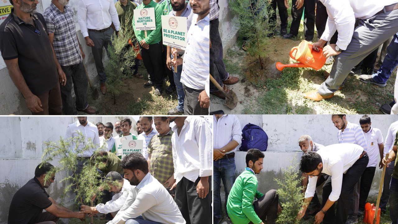 एनएम राजकीय उच्चतर माध्यमिक विद्यालय बांदीपोरा में मनाया गया ग्रीन कोऑपरेटिव डे